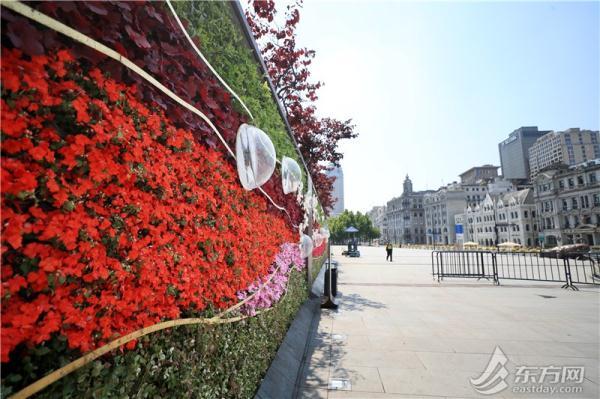 凤仙花栽培介绍，凤仙花栽培记录（以更美的面貌迎接复工复产）