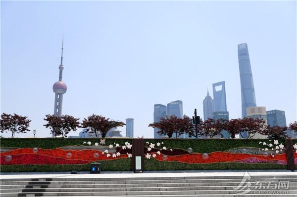 凤仙花栽培介绍，凤仙花栽培记录（以更美的面貌迎接复工复产）