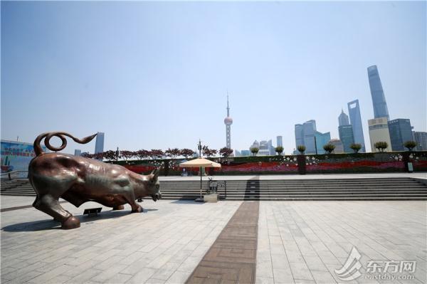 凤仙花栽培介绍，凤仙花栽培记录（以更美的面貌迎接复工复产）