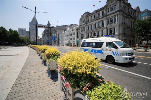 凤仙花栽培介绍，凤仙花栽培记录（以更美的面貌迎接复工复产）