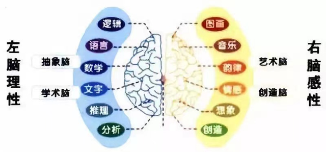 学围棋让孩子智力得到开发，学围棋能提高智商吗（盘点围棋对孩子早期教育的七大好处）