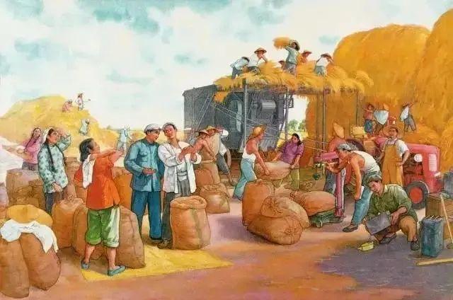 小麦产地，大国农情，小麦：面食之源（中国小麦产地）