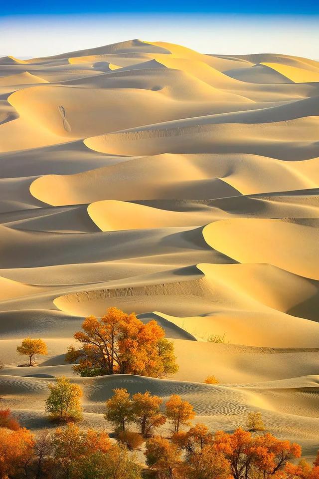 世界十大沙漠面积排名 世界上十大沙漠面积排行，世界十大沙漠面积排名（才不是“死亡之海”）