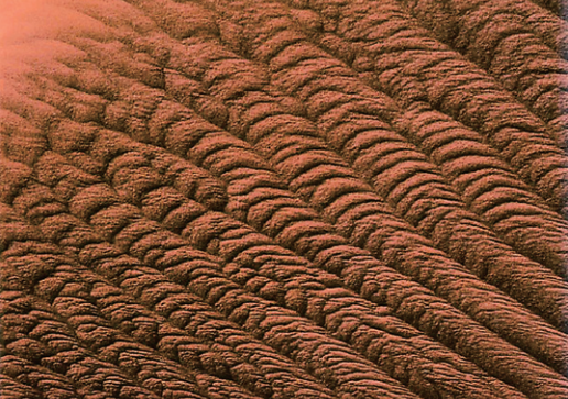 世界十大沙漠面积排名 世界上十大沙漠面积排行，世界十大沙漠面积排名（才不是“死亡之海”）