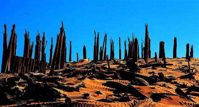 世界十大沙漠面积排名 世界上十大沙漠面积排行，世界十大沙漠面积排名（才不是“死亡之海”）