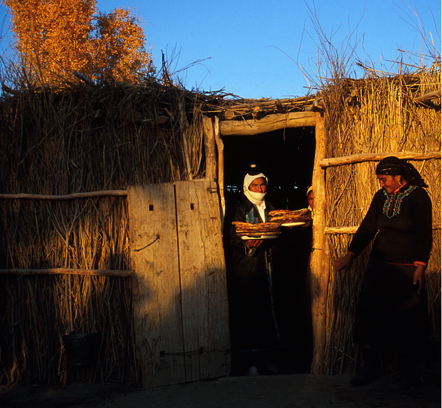 世界十大沙漠面积排名 世界上十大沙漠面积排行，世界十大沙漠面积排名（才不是“死亡之海”）