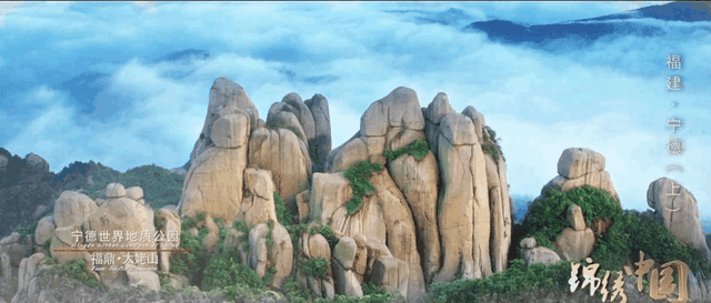 中国最爱芋头的省份，真的好糯，奉化芋头