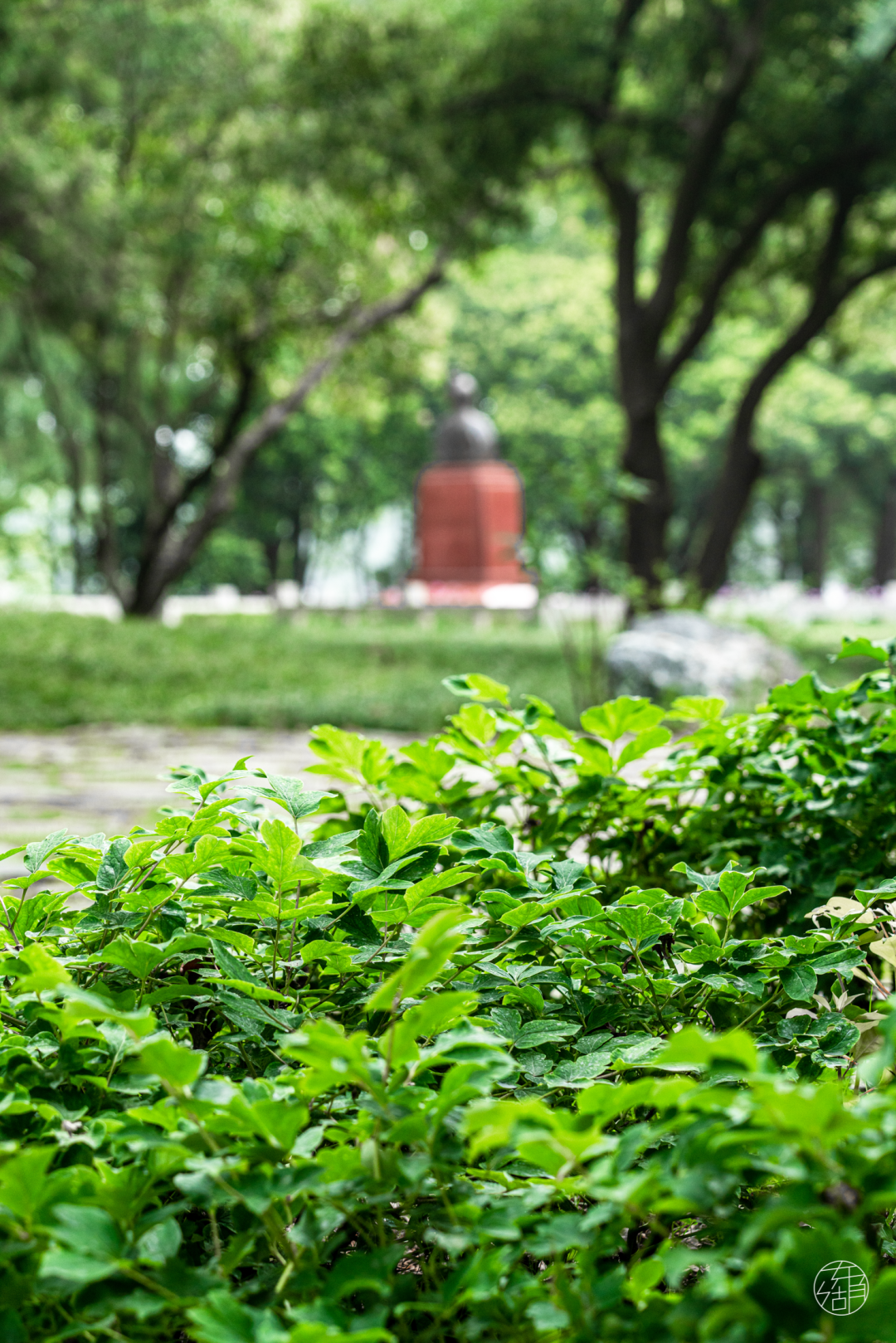 东湖听涛风景区(武汉东湖听涛景区需要门票吗)