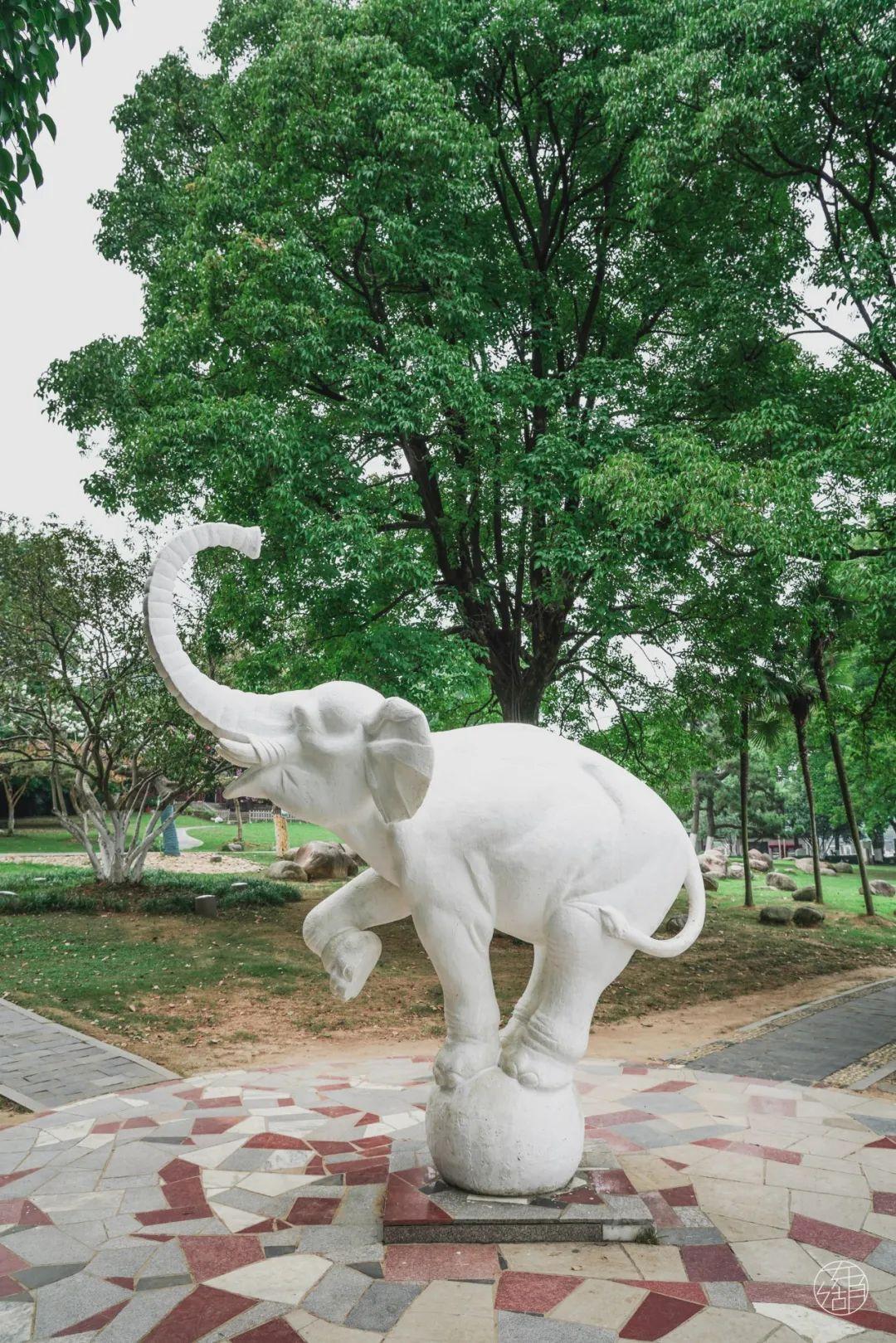 东湖听涛风景区(武汉东湖听涛景区需要门票吗)