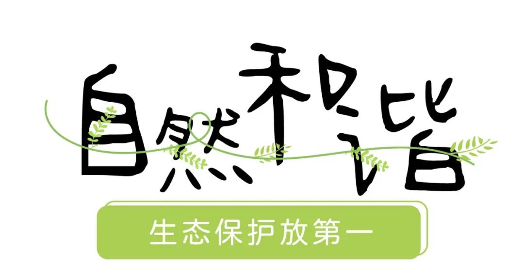 东湖听涛风景区(武汉东湖听涛景区需要门票吗)