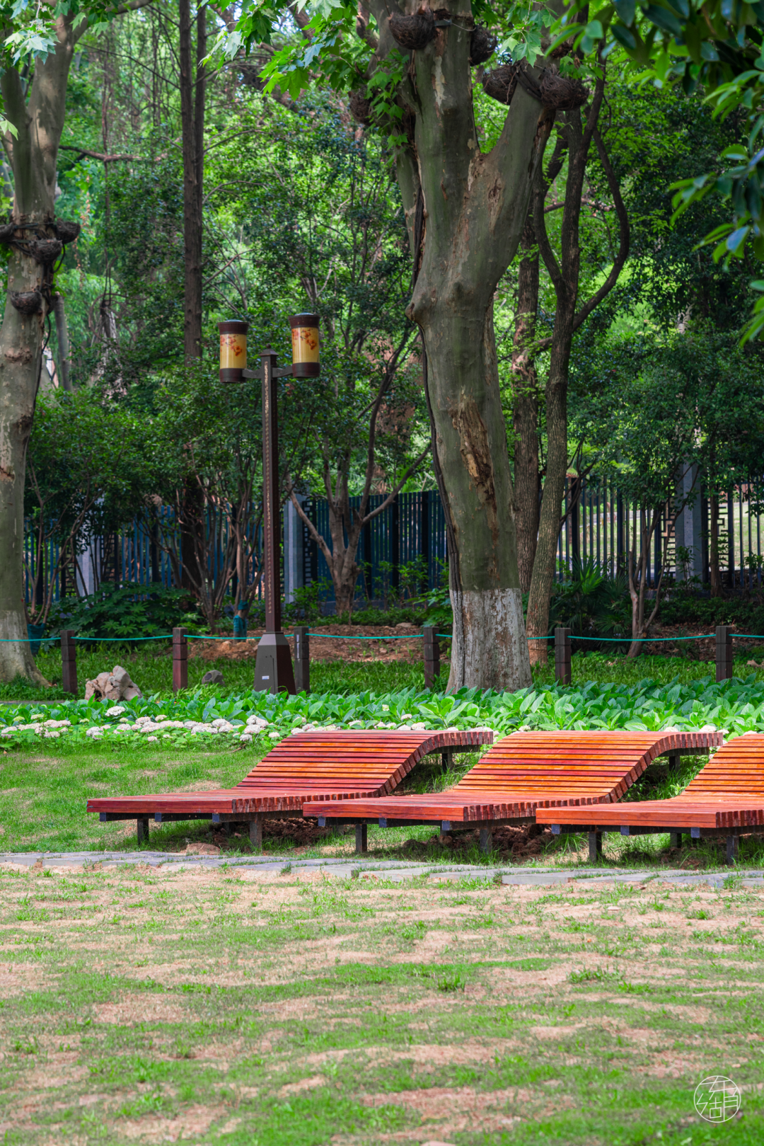 东湖听涛风景区(武汉东湖听涛景区需要门票吗)