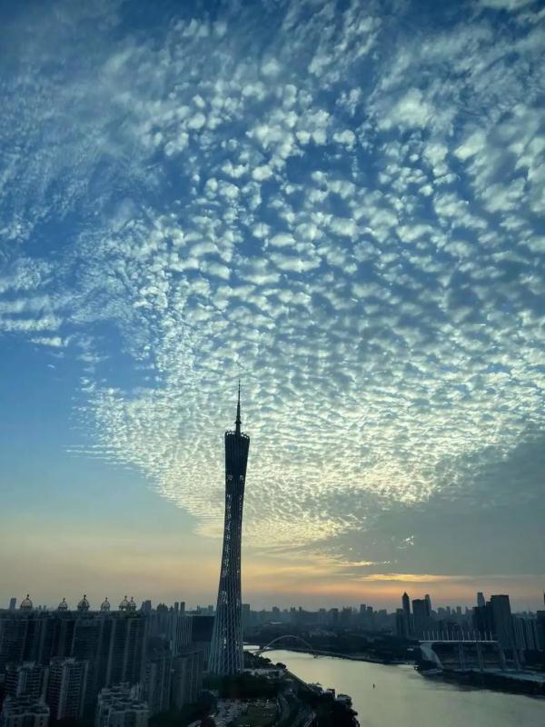 什么云霞，什么云霞填合适的词（广州晚霞邂逅鱼鳞云）
