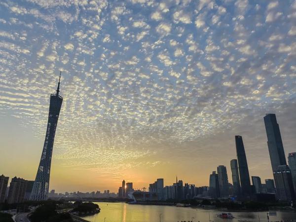 什么云霞，什么云霞填合适的词（广州晚霞邂逅鱼鳞云）