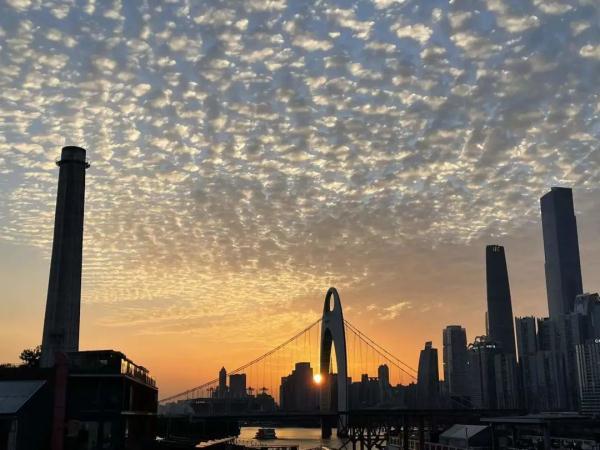 什么云霞，什么云霞填合适的词（广州晚霞邂逅鱼鳞云）