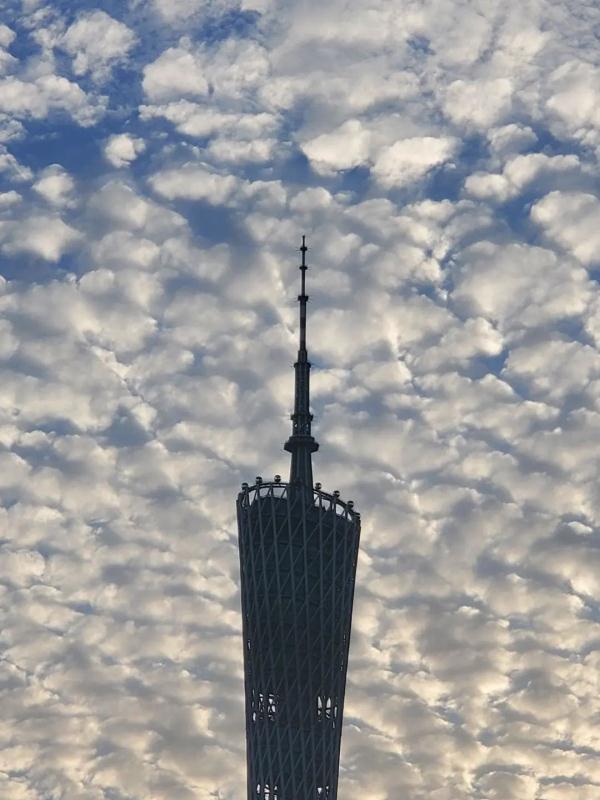 什么云霞，什么云霞填合适的词（广州晚霞邂逅鱼鳞云）