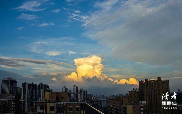 莎士比亚的10句名言，教你看透人间百态