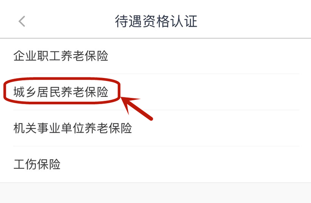 认证成功了吗养老待遇资格认证怎么查是否成功重要提醒事关养老金领取