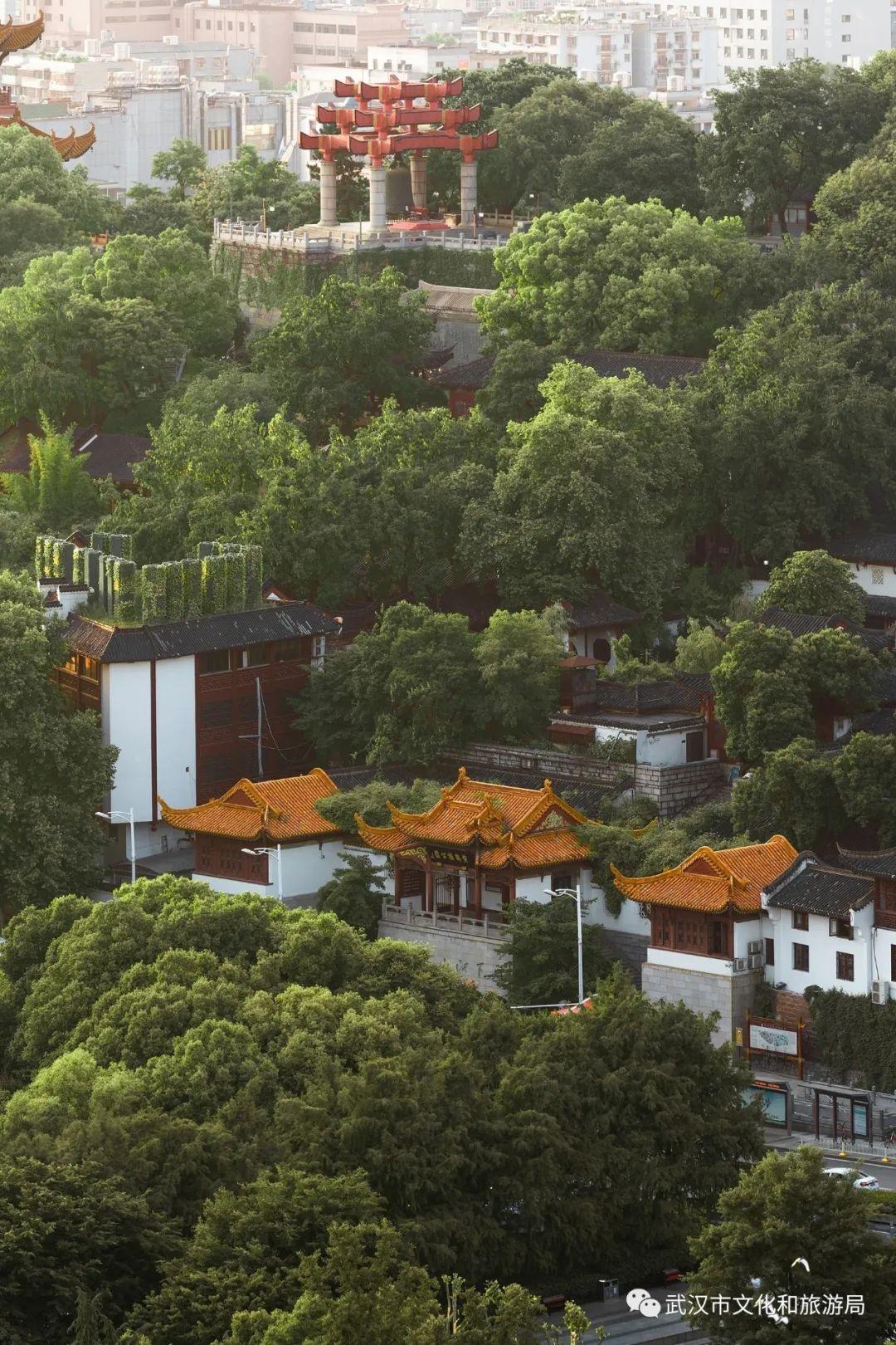 武汉十大必去景点(武汉市好玩的地方推荐)插图(8)