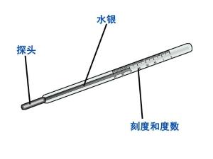 温度计使用方法和注意事项，温度计使用前应该甩到多少度