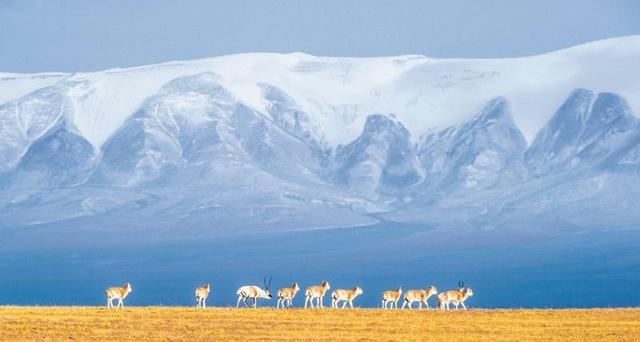 2021年中国重大事件热点汇总，2021年十大热点事件（2021年中国自然保护地十件大事发布）