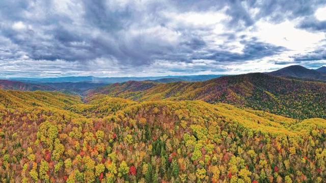 2021年中国重大事件热点汇总，2021年十大热点事件（2021年中国自然保护地十件大事发布）