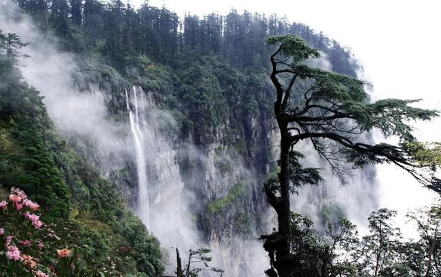 为什么要保护环境，保护环境的三个理由（环境保护对人类的重要性）