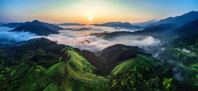 为什么要保护环境，保护环境的三个理由（环境保护对人类的重要性）