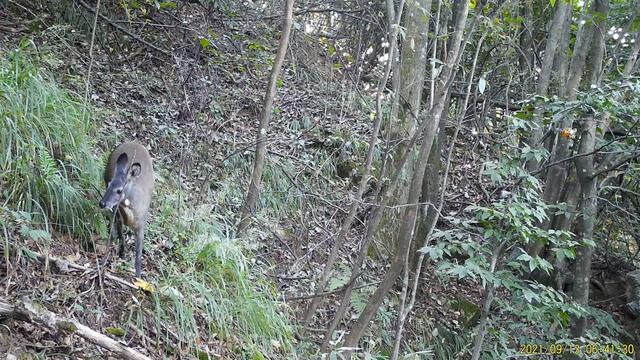 电脑打开一丘之骆什么意思，回归宜昌朋友圈“发动态”了