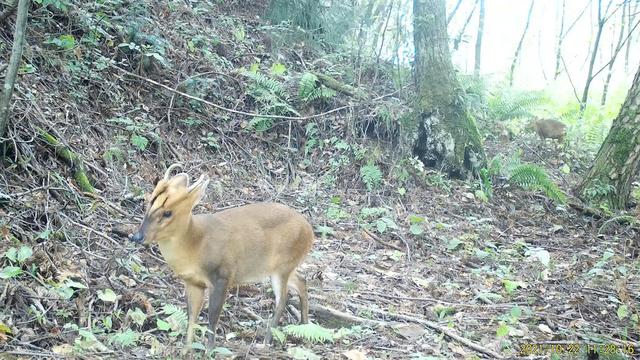 电脑打开一丘之骆什么意思，回归宜昌朋友圈“发动态”了
