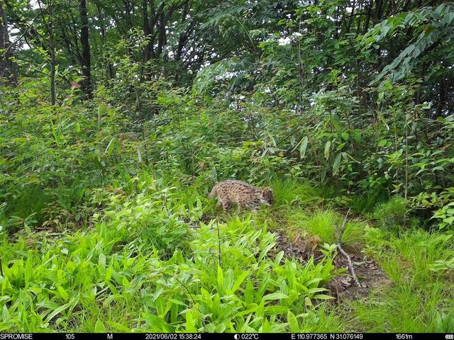 电脑打开一丘之骆什么意思，回归宜昌朋友圈“发动态”了