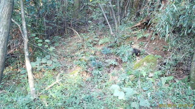 电脑打开一丘之骆什么意思，回归宜昌朋友圈“发动态”了