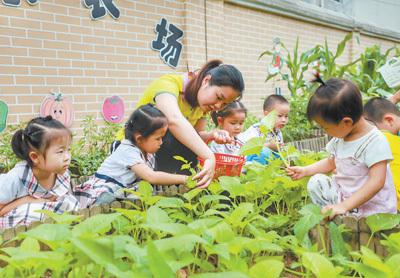 什么是合理营养，吃什么最营养（合理膳食 吃出健康）