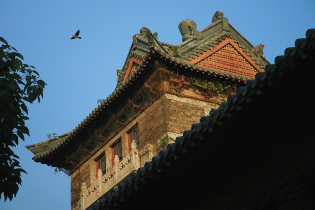 你离开以后从此就丢了温柔是什么歌，你离开以后（南京大学，生日快乐）