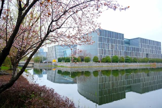 你离开以后从此就丢了温柔是什么歌，你离开以后（南京大学，生日快乐）