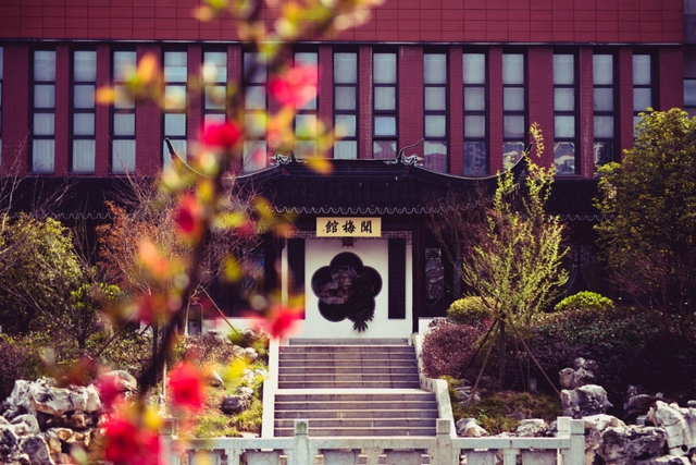 你离开以后从此就丢了温柔是什么歌，你离开以后（南京大学，生日快乐）