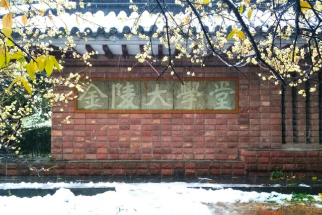 你离开以后从此就丢了温柔是什么歌，你离开以后（南京大学，生日快乐）