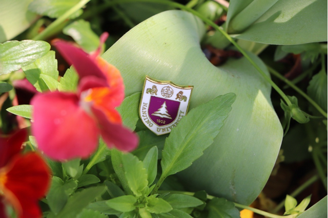 你离开以后从此就丢了温柔是什么歌，你离开以后（南京大学，生日快乐）