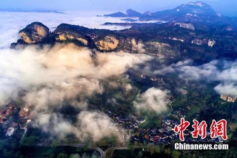 保护生物多样性宣传语，保护野生动物宣传标语（东西问丨李振基）