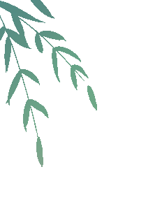 端午节的习俗有哪些，春节的风俗有哪些 简介20字（端午节传统习俗，你知道哪些）