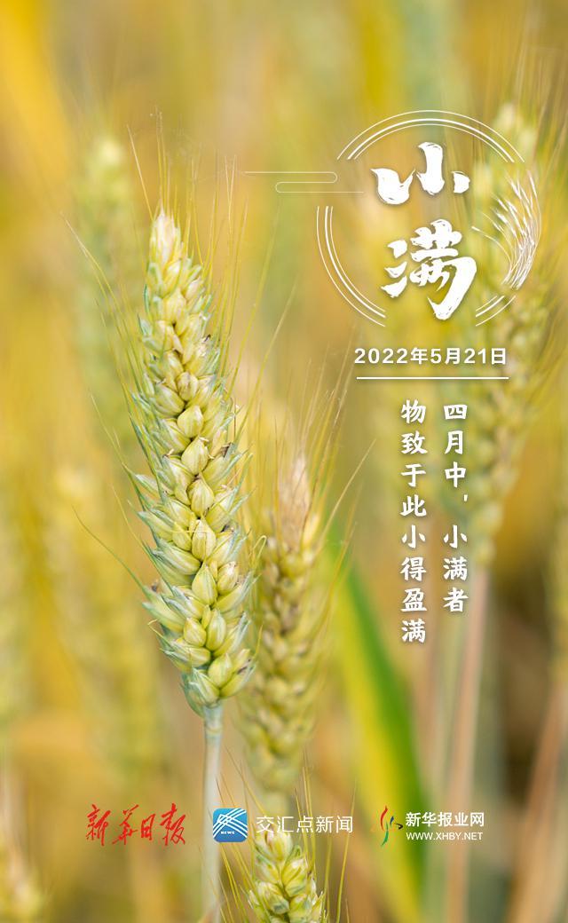 小满是几月几日，二十四节气中的小满是几月几日（今日，小满！盛夏将至）