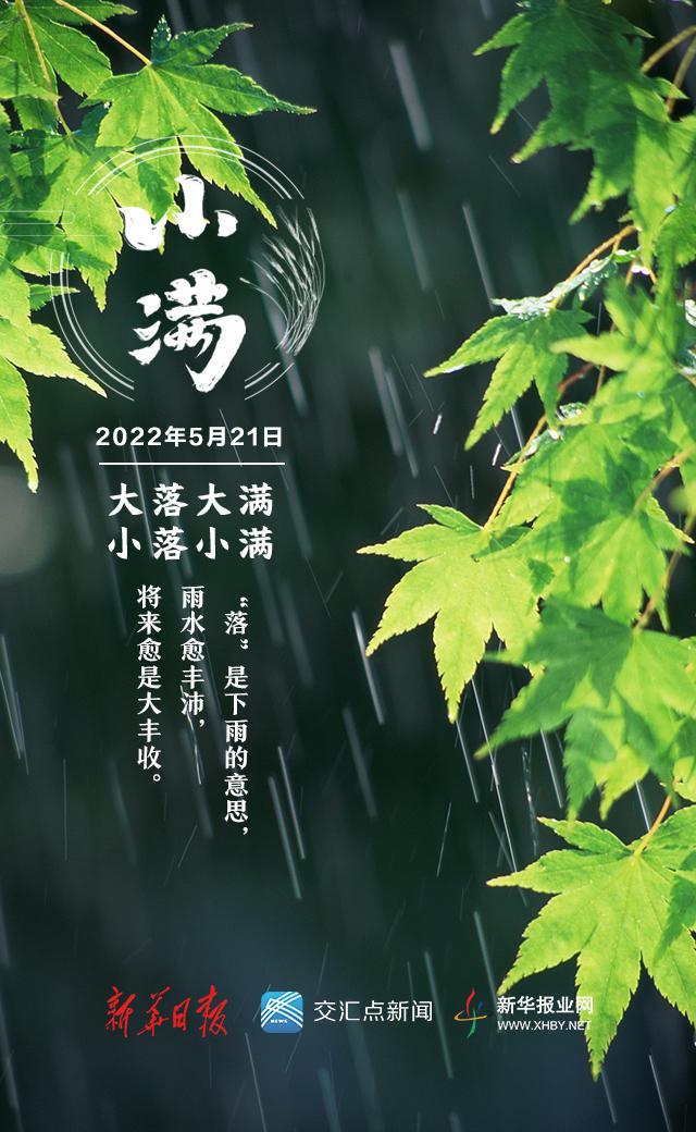 小满是几月几日，二十四节气中的小满是几月几日（今日，小满！盛夏将至）