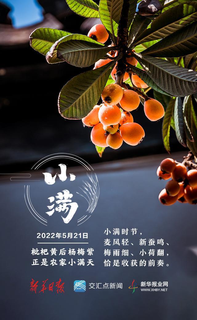 小满是几月几日，二十四节气中的小满是几月几日（今日，小满！盛夏将至）