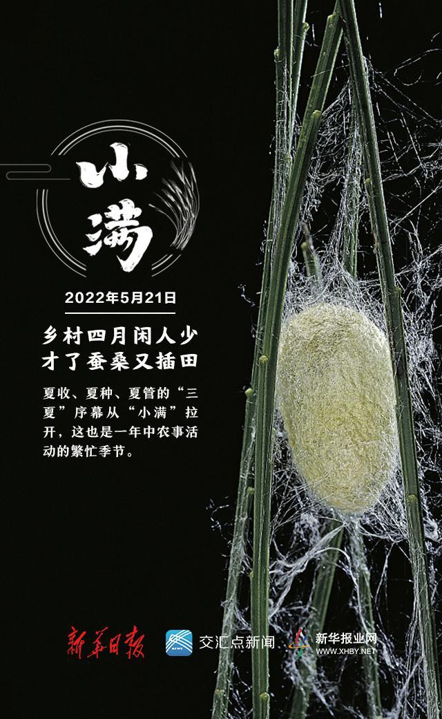 小满是几月几日，二十四节气中的小满是几月几日（今日，小满！盛夏将至）