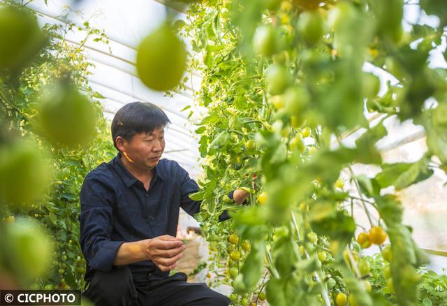 农忙是几月份，农忙的句子经典语录（又到小满农忙时）