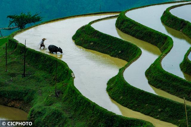 农忙是几月份，农忙的句子经典语录（又到小满农忙时）
