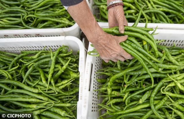 农忙是几月份，农忙的句子经典语录（又到小满农忙时）