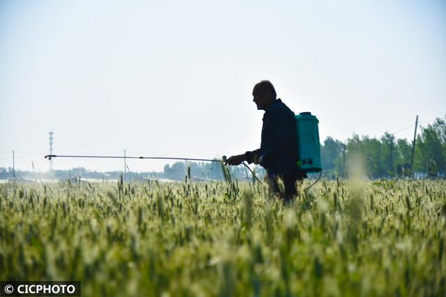 农忙是几月份，农忙的句子经典语录（又到小满农忙时）