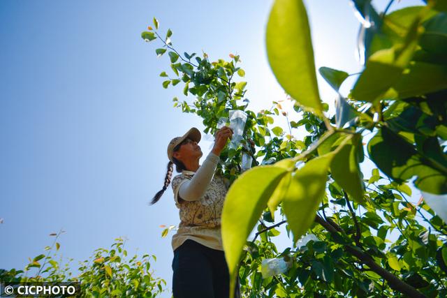 农忙是几月份，农忙的句子经典语录（又到小满农忙时）