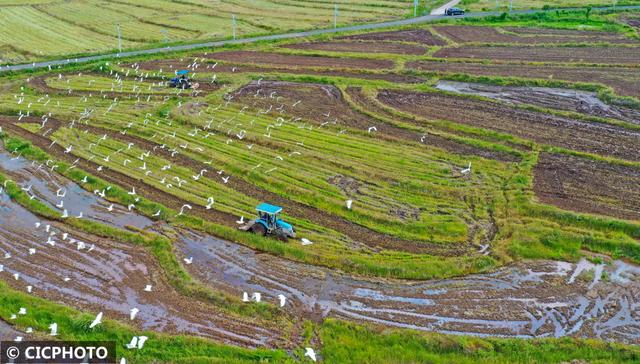 农忙是几月份，农忙的句子经典语录（又到小满农忙时）