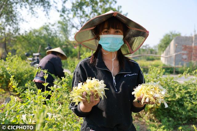 农忙是几月份，农忙的句子经典语录（又到小满农忙时）